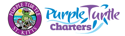 Purple Turtle Charters